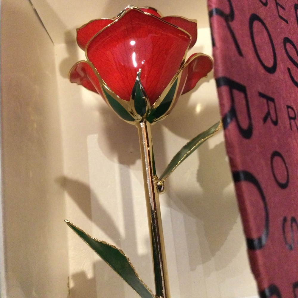 Stained Glass Forever Red Rose in box with stand